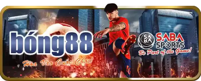 Cá cược các môn thể thao khác tại RV66