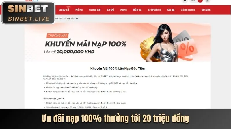 Tổng quan khuyến mãi RV66